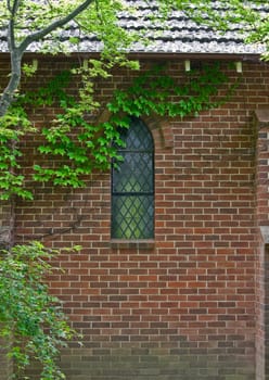 beautiful gostwyck chapel all covered in green spring vines