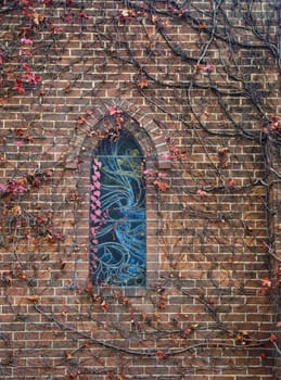 excellent image of an old church window with red ivy 