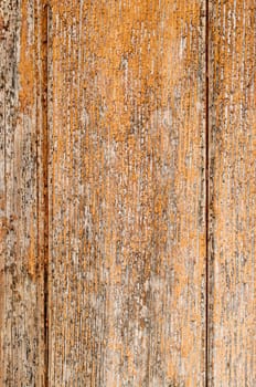 great background texture of old grungy wood