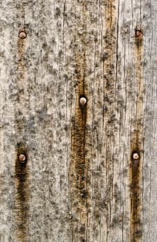 great background texture of old grungy wood