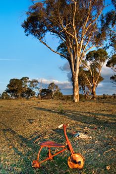 an old tricycle sits forgotten in an empty yard