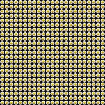 a large background image of hundreds of different fried eggs