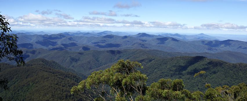 panorama from point lookout looking over the forests and rainforestsof the oxley world heritage area