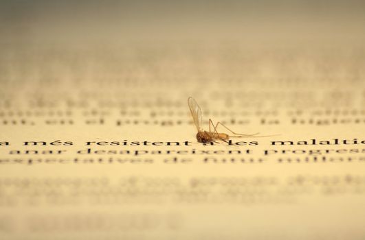 A mosquito dies on an opened medical book
