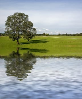 Two trees on meadow with water reflection