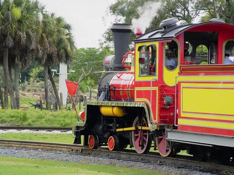 Vintage steam train and locomotive in wildlife park