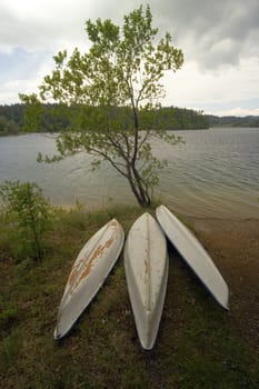 Boats on shore under the tree