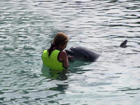 Man's greatest aquatic friend in various situations - The Bottlenose Dolphin