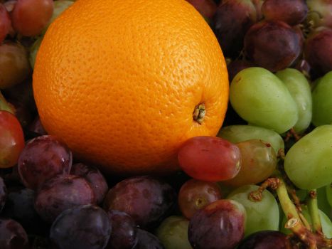 An orange nestled in a bed of grapes.