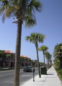 Modern urban views and architecture in tFlorida