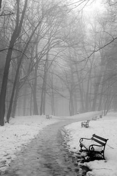 Benches in woods under snow