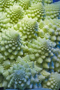 Vegetable close up looking like fractal