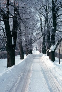 Snow on road 