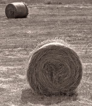 Tumbleweed and haystacks in a field in the Mediterranean