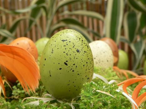 artifical quail egg close-up