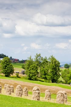 landscape of Tatras near Zakopane, Poland