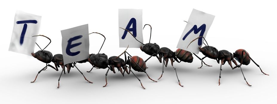 Four ants carrying fragments of paper, each with a letter that spells the word "team". Good concepts for organized efforts. 