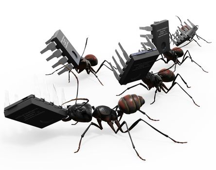 Ants carrying microchips. Good concept for "computer bugs". 
