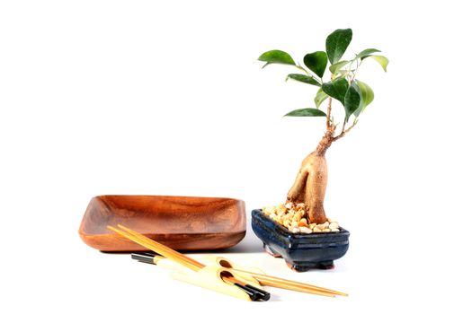 Wooden empty plate, set of chopsticks and young tree bonsai.