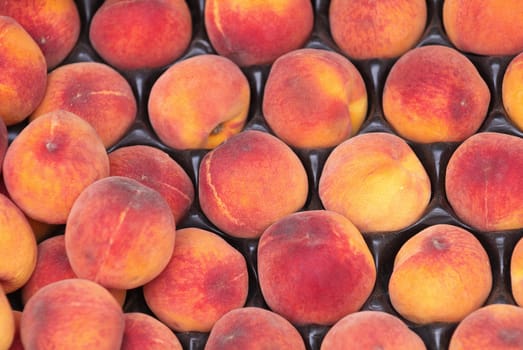 Summer Harvest. Delicious peaches on market. Close up
