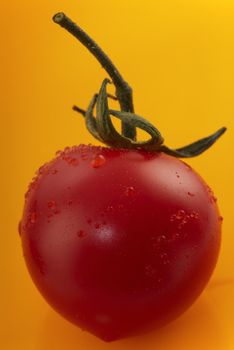 One mini tomato on yellow background. Studio shooting