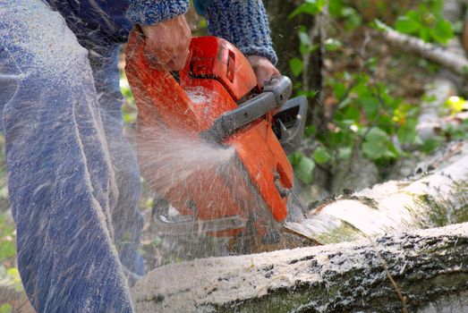 Man cutting big piece of wood with chain saw.