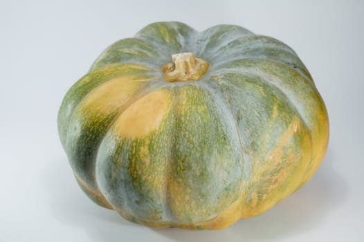 ripe pumpkin on a white background, studio illumination