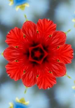 Photo-based illustration abstract, red flower