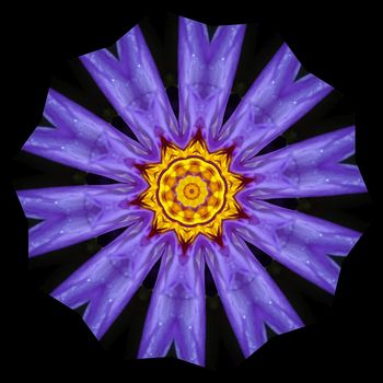 Photo-based illustration abstract / purple flower, black background