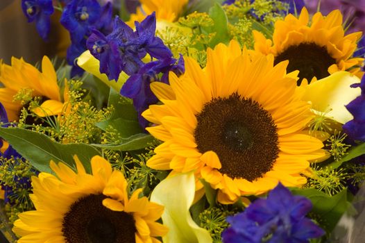 ultra colorful abundant summer bouquet with Sunflowers