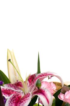 A bouquet with a lily with white copyspace above