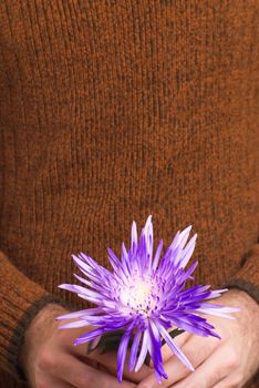 Closeup view of a man holding a flower with copyspace above