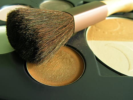 Brush and makeup (eyeshadows and powder)
