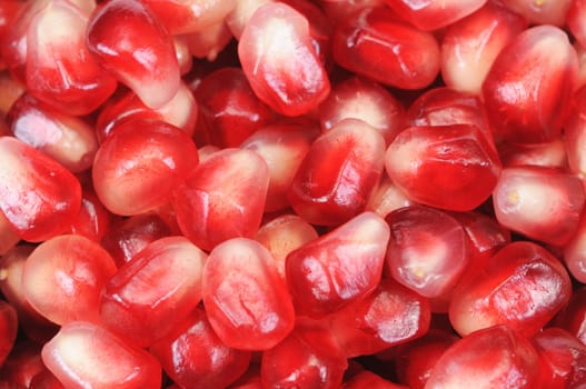 Pomegranate grains in a plate shot close-up