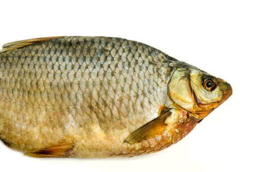 One dried fish on white background