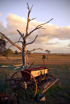 an old plough and dead tree on a farm at sunset