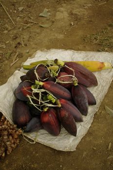 Banana flowers are edible. They may be eating a salad or cooked with meat
