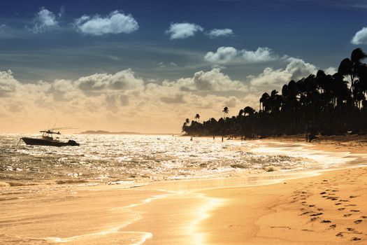 sunset on caribbean beach in summer with boat