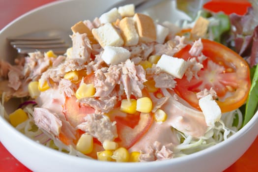 Tuna salad with vegetables on white bowl