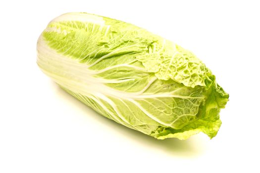 Head of napa cabbage isolated on a white background