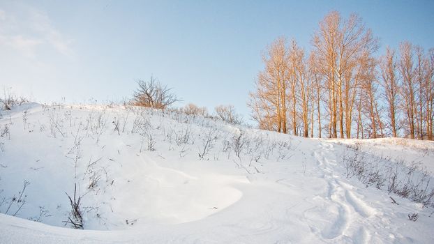 Winter landscape with snow and naked trees