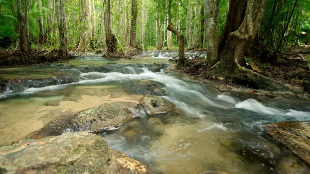 River stream in tropical forest, Thailand, Asia