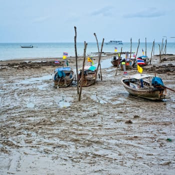 Asian longtails in low tide, Thailand