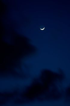 Tropical crescent on the dark night sky 