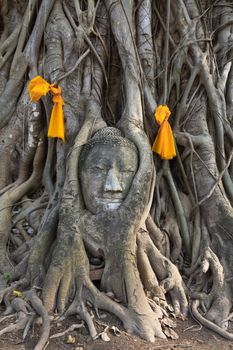 Head of The Sand Stone Buddha Image in wat mahathat temple, Ayutthaya Thailand