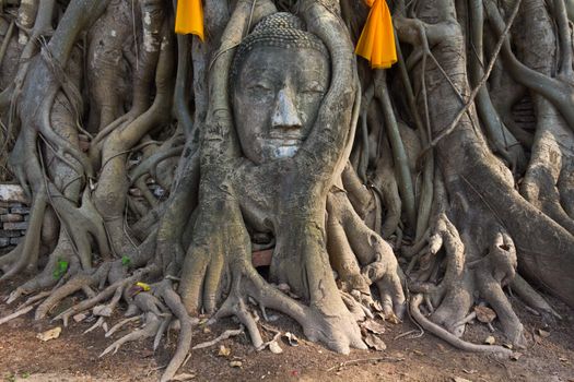 Head of The Sand Stone Buddha Image in wat mahathat temple, Ayutthaya Thailand