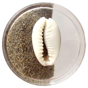 Touristic souvenir with sea shell and sand