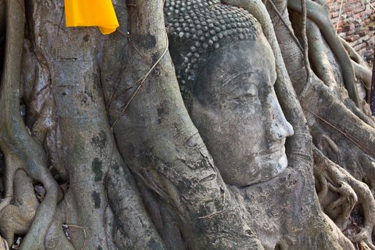 Head of The Sand Stone Buddha Image in wat mahathat temple, Ayutthaya Thailand