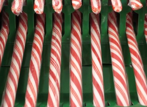 Candy Canes for Christmas Decorations
