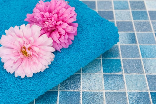 Pink and Violet Dahlia Flowers and Blue Bath Towel on Blue Bathroom Tiles